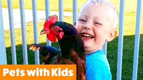 hilarious animals youtube|kid appropriate funny animal videos.